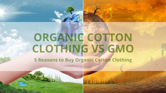 5 Reasons to Buy Organic Cotton Clothing Instead of GMO - BIG FRENCHIES